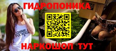прущие крисы Партизанск