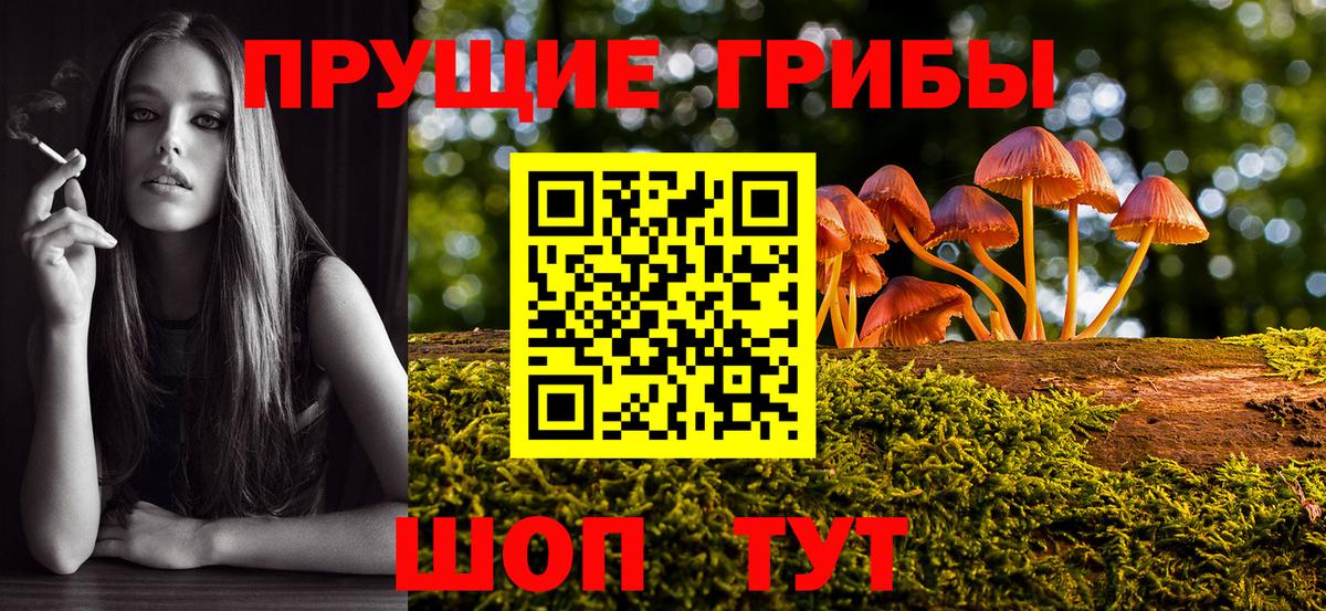 Галлюциногенные грибы Cubensis Чусовой