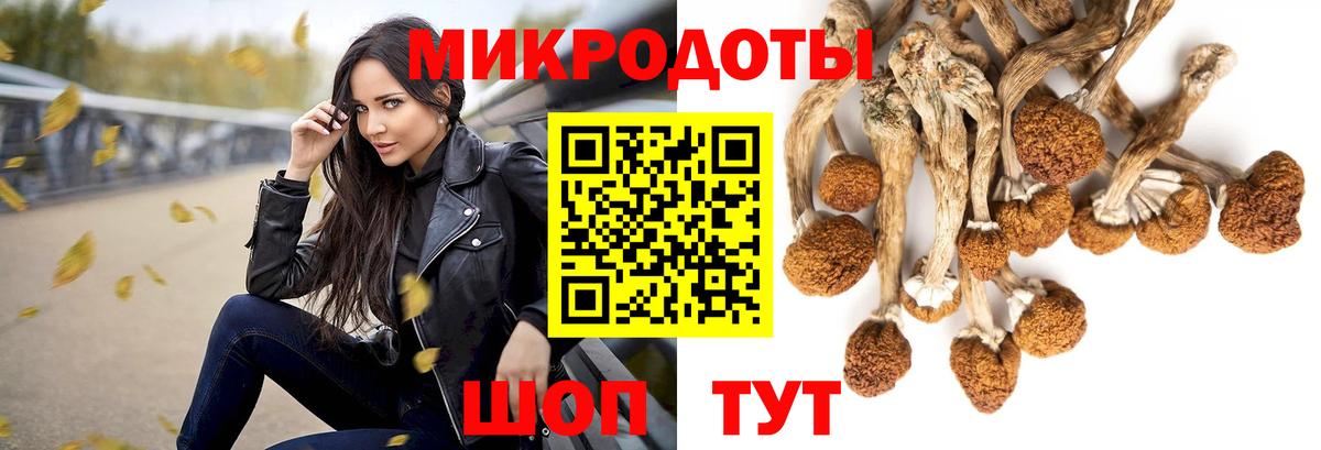 Галлюциногенные грибы MAGIC MUSHROOMS  купить наркотики цена  Псилоцибиновые грибы Psilocybine cubensis  Чусовой  Вход с VPN 